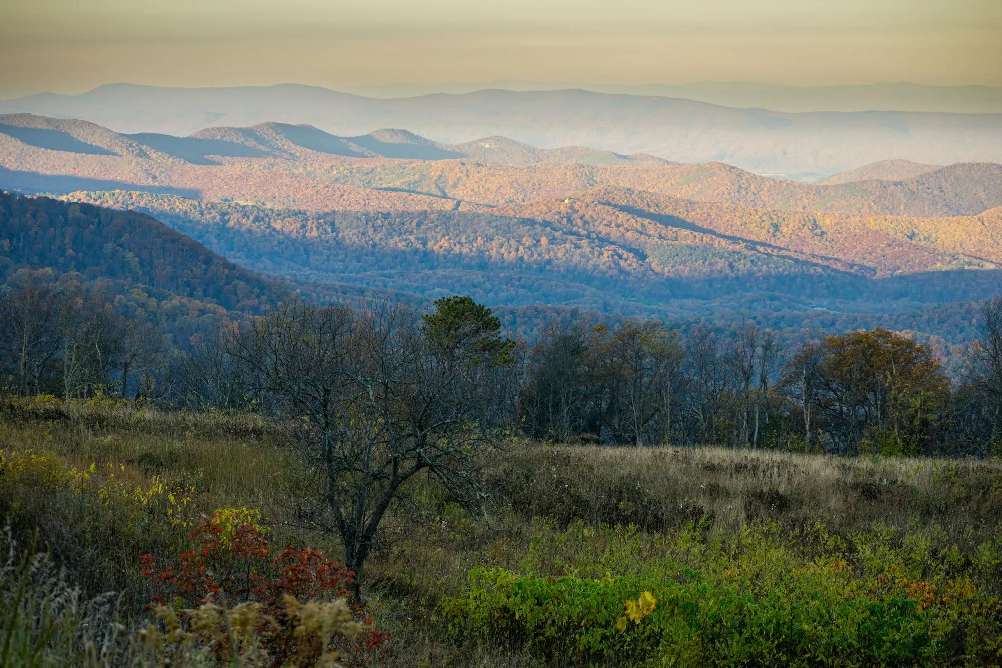 Autumn view of the Blue Ridge Mountains